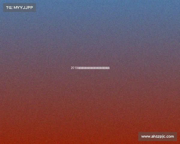 2019湖人队赛事回顾詹姆斯加盟首个赛季的起伏征程