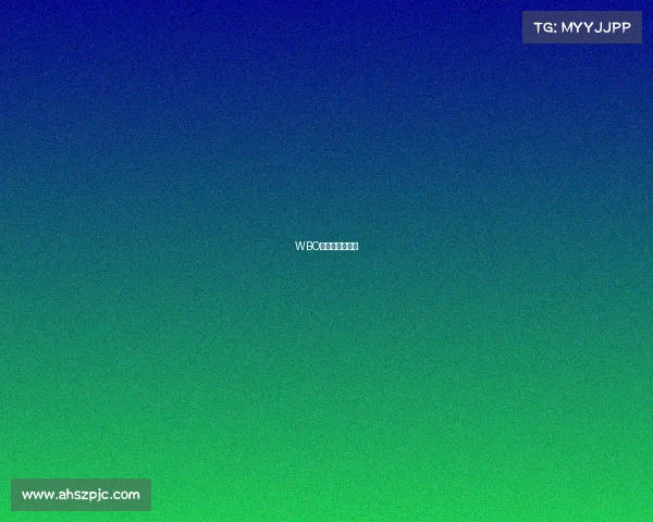 WBO赛事的奖金情况